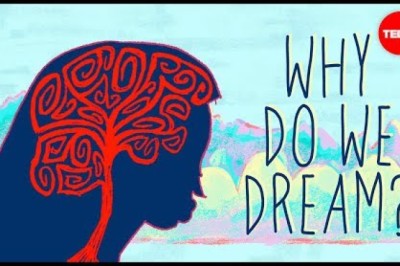 Why do we dream?
