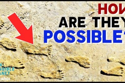 The Biggest Mystery In Human History Was Just Solved