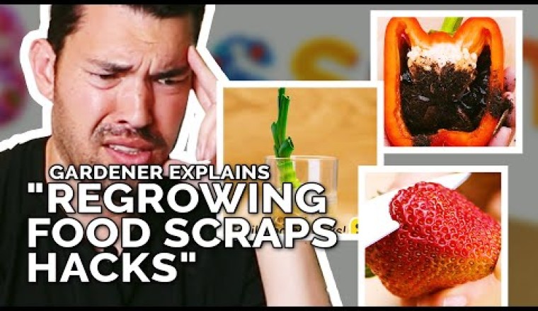 Do "Regrowing Food Scraps" Hacks Actually Work?