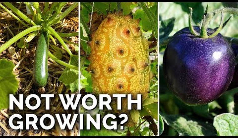Don't Bother Growing These 9 Crops