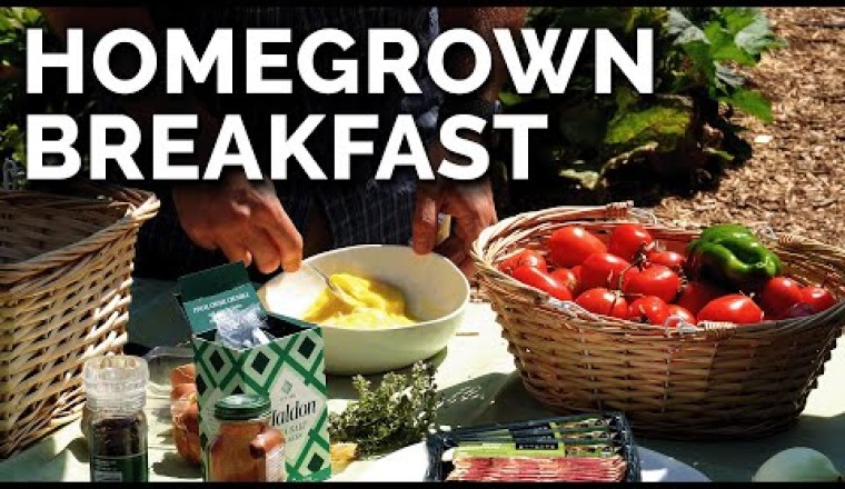 Harvesting a Fresh Garden Breakfast!