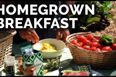 Harvesting a Fresh Garden Breakfast!