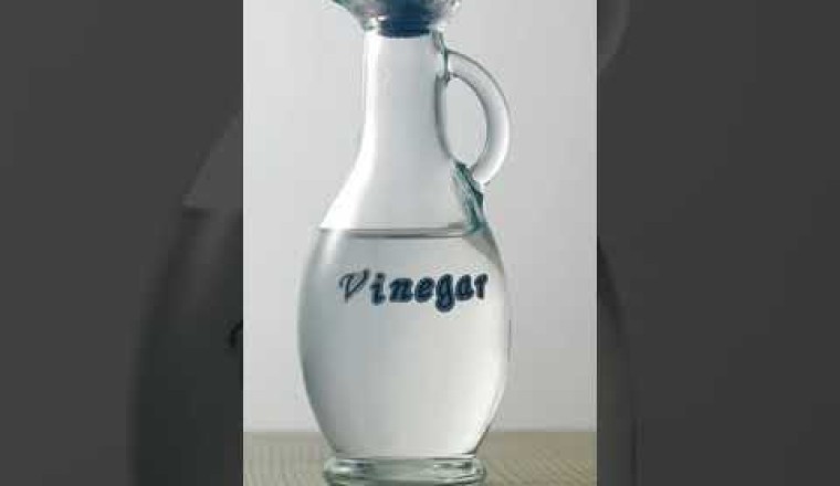 Fly and Mosquito Deterrent