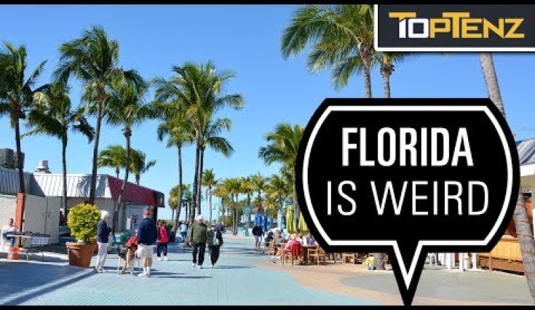 10 Misadventures of “Florida Man”