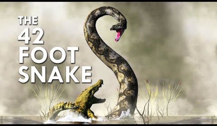 Titanoboa: The 42 Foot Mega Snake