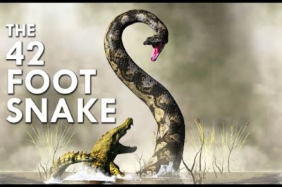 Titanoboa: The 42 Foot Mega Snake
