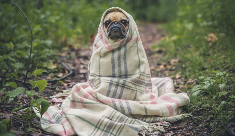What to Do When You’re Feeling Drained