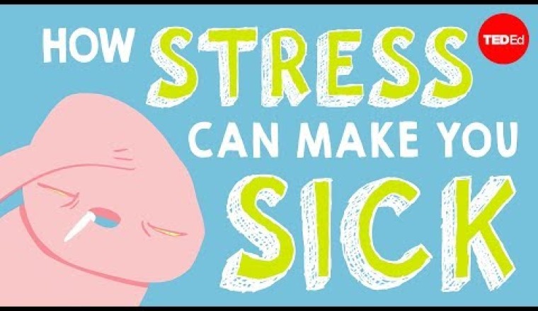 How Stress Affects Your Body