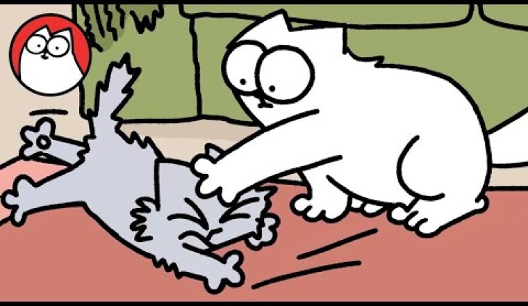 Simon's Cat - Crazy Kitten