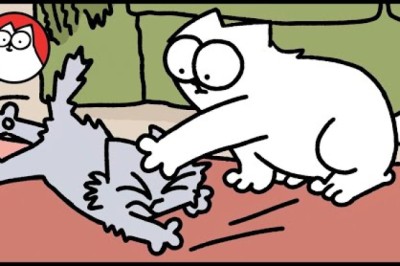 Simon's Cat - Crazy Kitten