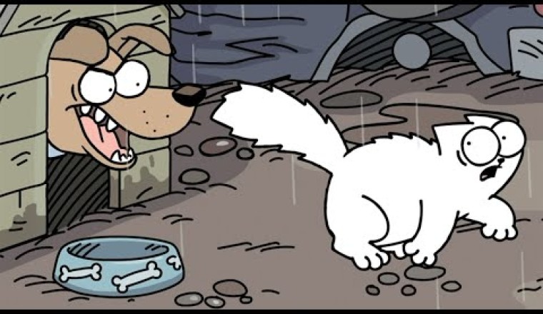 Simon's Cat - Missing Cat