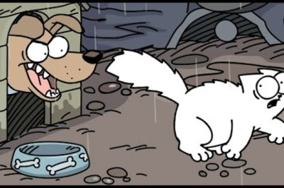 Simon's Cat - Missing Cat