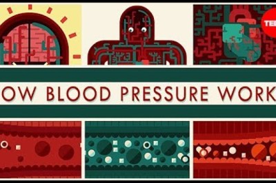 How Blood Pressure Works