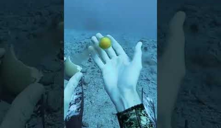 Diver Performs Eggsperiments