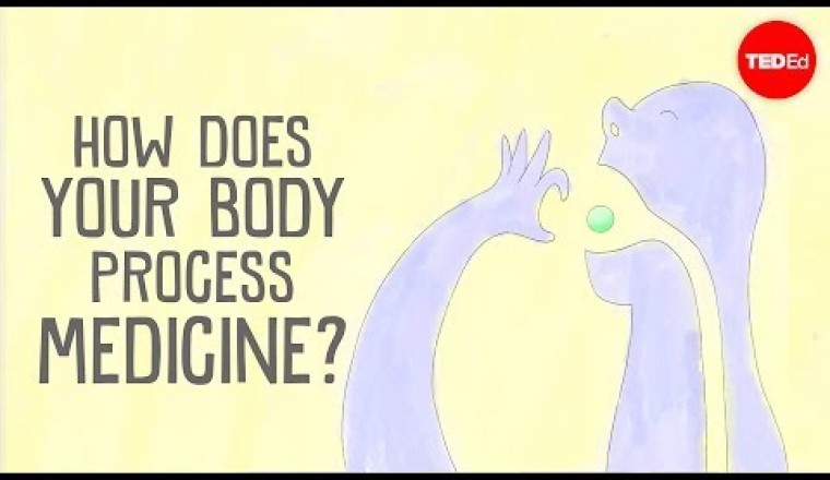 How does your body process medicine?