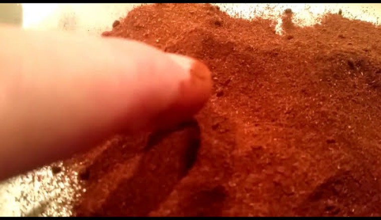 Paprika Has BUGS In It?!