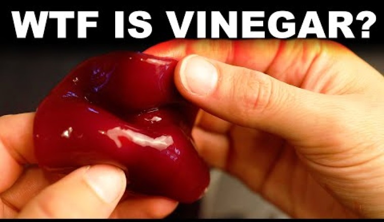 WTF Is Vinegar? And What Is Its MOTHER?