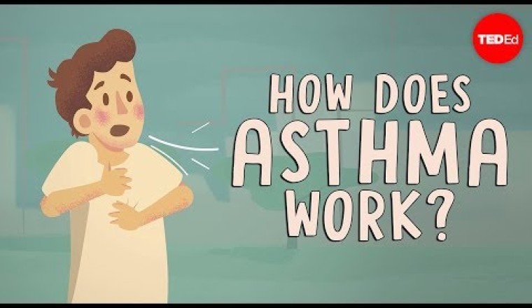 How does asthma work?