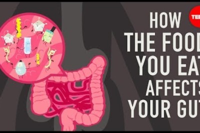 How the food you eat affects your gut