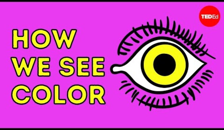 How we see color