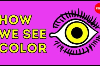 How we see color