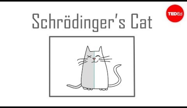 Schrödinger's Cat