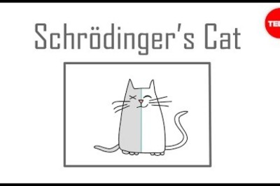 Schrödinger's Cat