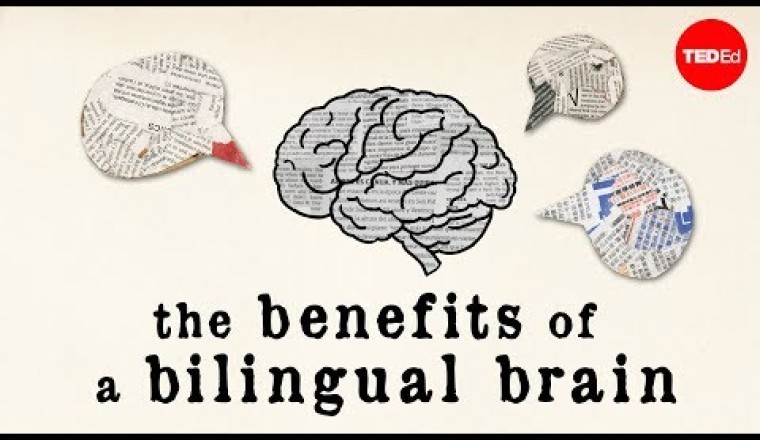 The benefits of a bilingual brain