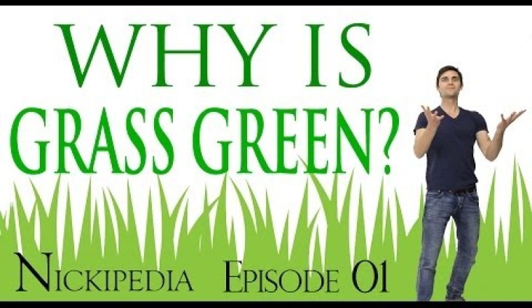 "Why Is Grass Green?" Nickipedia: Ep.01