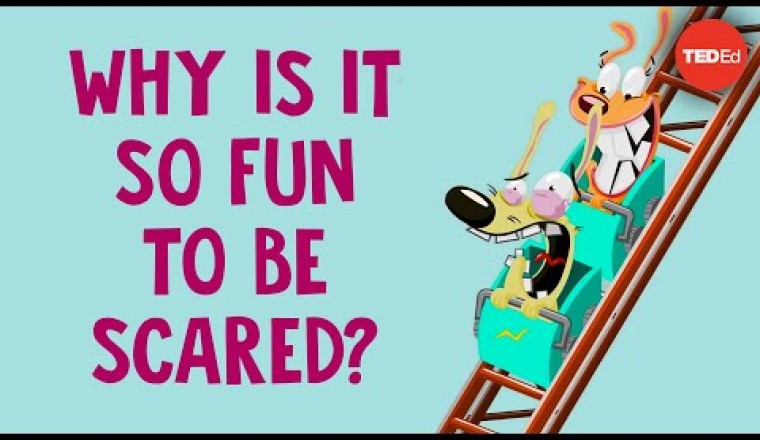 Why is being scared so fun?
