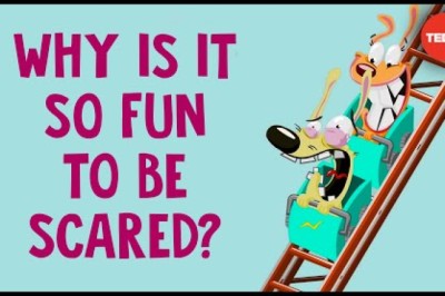 Why is being scared so fun?