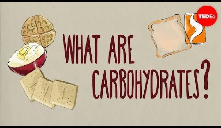 How do carbohydrates impact your health?