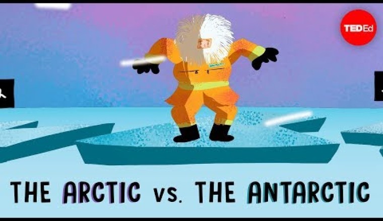 The Arctic vs. The Antarctic