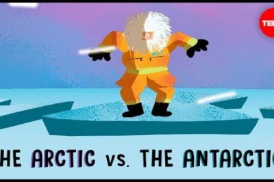 The Arctic vs. The Antarctic