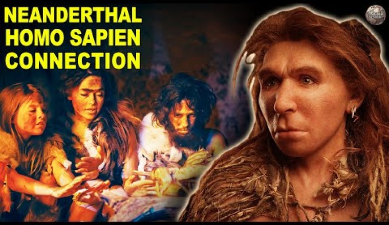 Did Homo Sapiens Really Mate With Neanderthals?