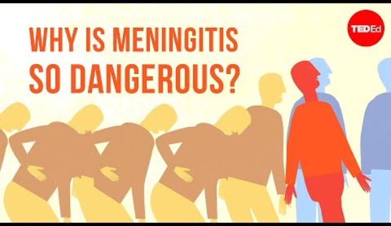 Why is meningitis so dangerous?