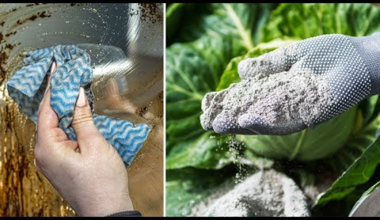 17 Amazing Reasons To Use Wood Ash In The Home And Garden