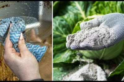17 Amazing Reasons To Use Wood Ash In The Home And Garden