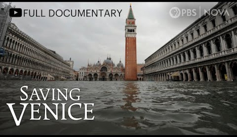 Saving Venice