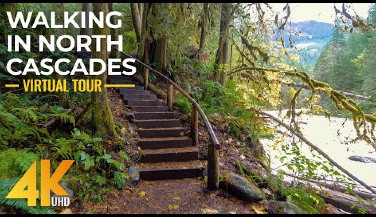 Walking the Autumn Forest Trails of North Cascades