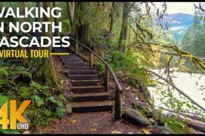 Walking the Autumn Forest Trails of North Cascades