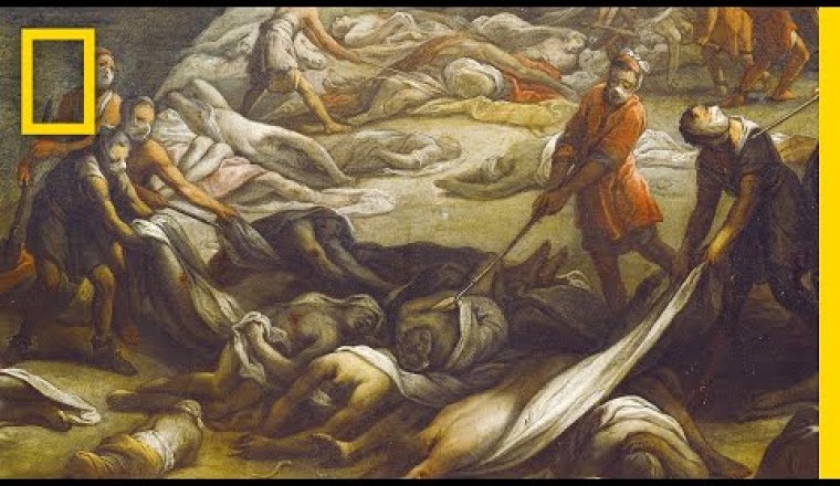 What Was The Bubonic Plague? (Black Death)