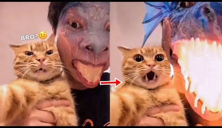 If you laugh in 15 sec, you lose