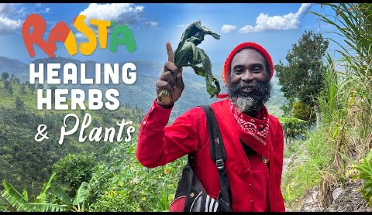 Rasta Healing Herbs and Plants MASTERCLASS with Buru!