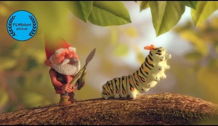 Gnome