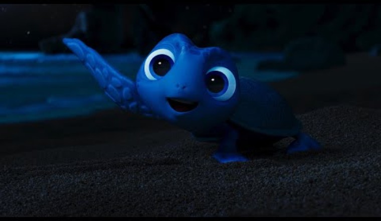 HOPE (A Sea Turtle Named Aqua)