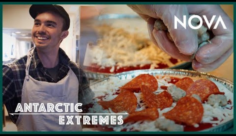 What Do You Eat in Antarctica?