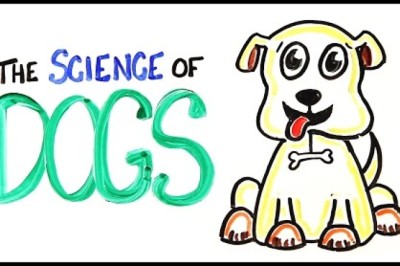 The Science of DOGS