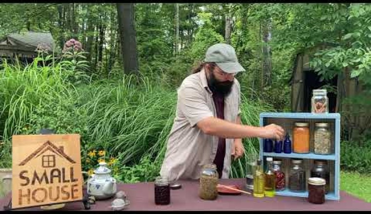 Making Herbal Teas, Tinctures, and Salves with Bevin Cohen