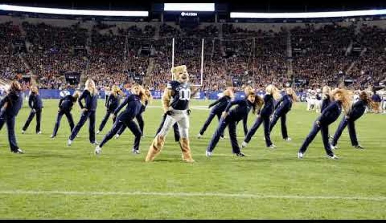 Cosmo the Cougar and the Cougarettes